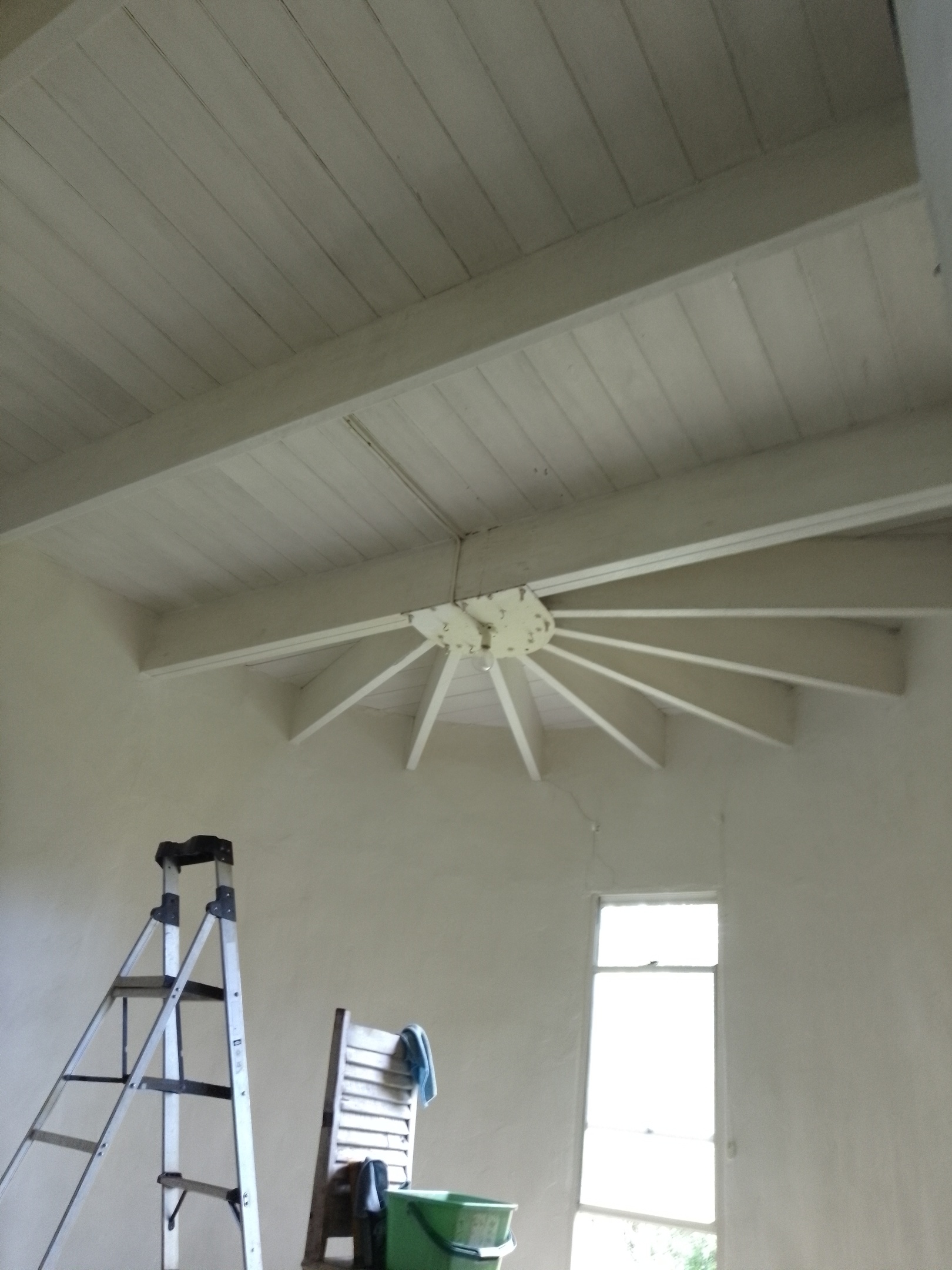 WARES Asbestos services include mould assessments.